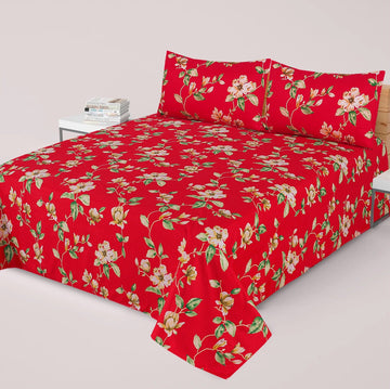 Premium Cotton Super King Bedsheet - Special Addition- MS09